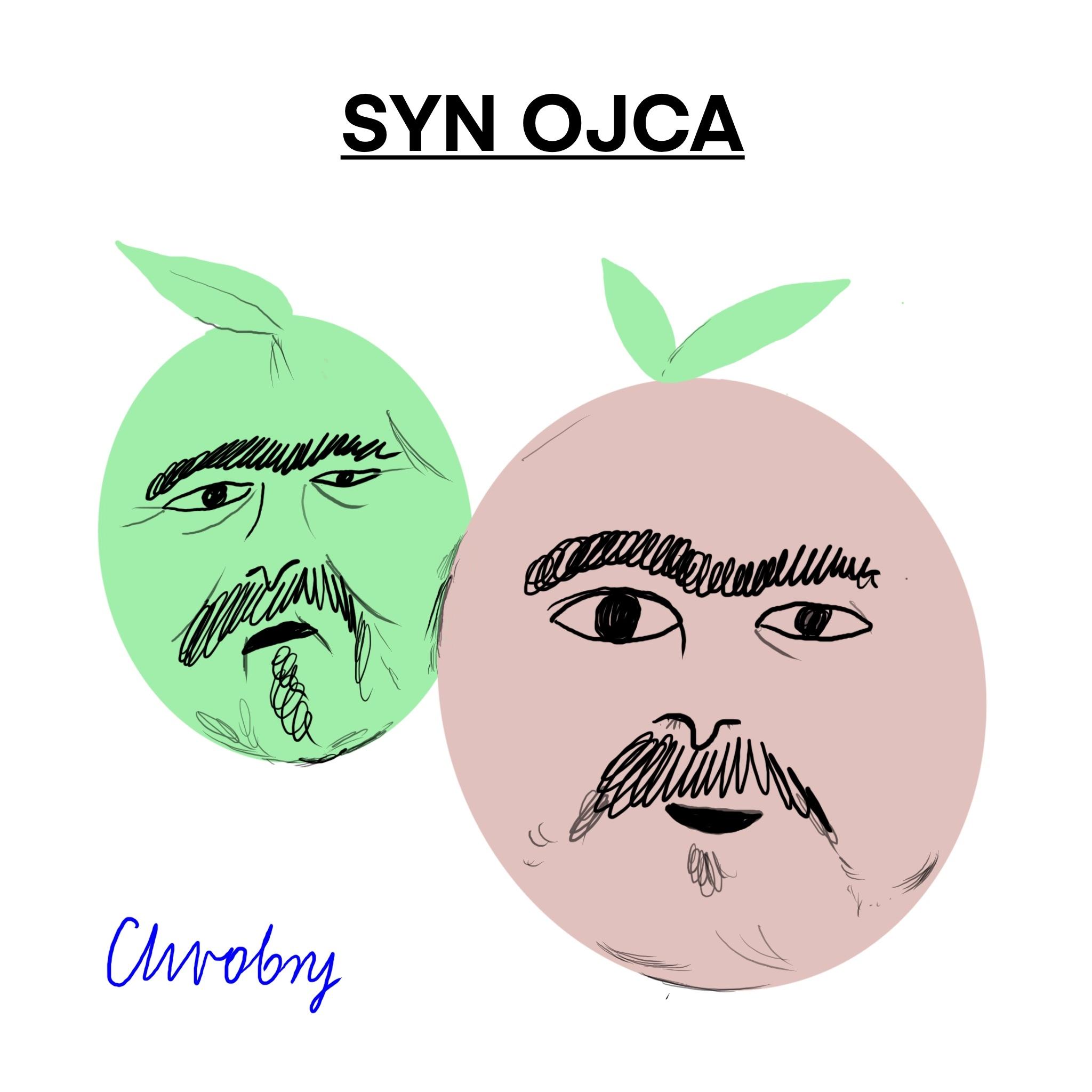 Narodziny Królestwa. Chrobry - Cherezińska - Chromry. Odcinek 1 -  "Syn Ojca", cz. 2