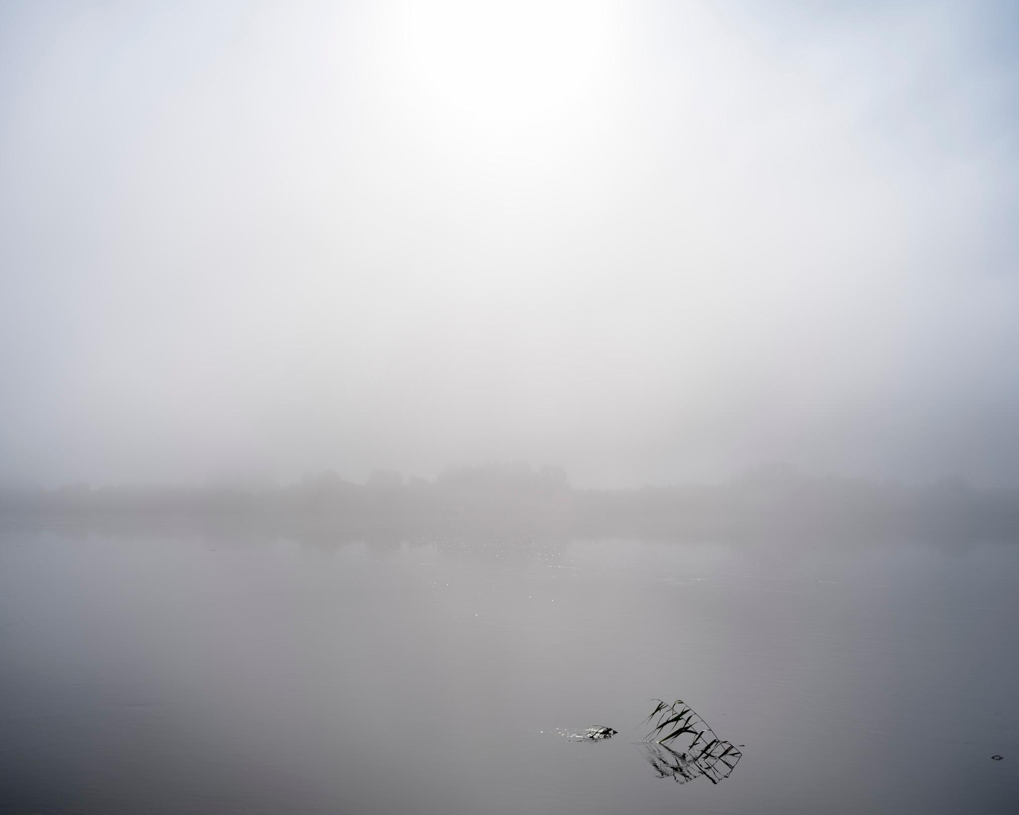 Istota Rzeka - fotografia Rafała Siderskiego