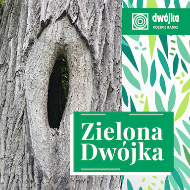 Zielona Dwójka