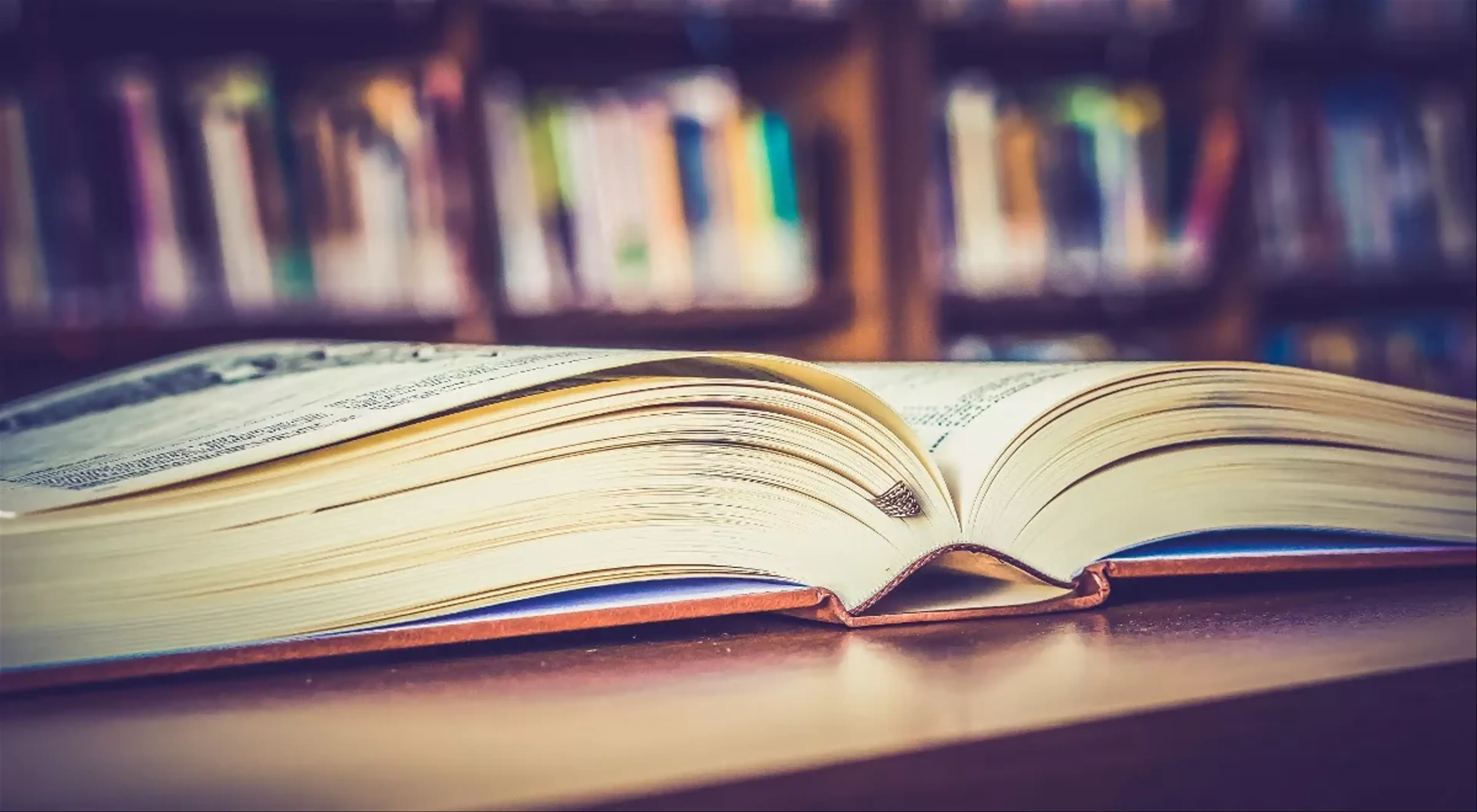 Strefa literatury